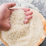 قیمت روز برنج هندی و پاکستانی