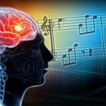 مغز چگونه ریتم موسیقی را درک می‌کند؟