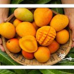 مصرف انبه برای این گروه واجب است