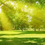 زندگی در نزدیکی فضای سبز می‌تواند خطر ابتلا به اضطراب و افسردگی را کاهش دهد