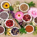 نقش گیاهان دارویی بومی ایران در تقویت حافظه و سلامت مغز از دیدگاه طب سنتی