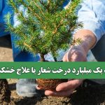 کاشت یک میلیارد درخت شعار یا علاج خشکسالی