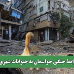 در شرایط جنگی حواسمان به حیوانات شهری باشد