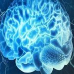 افراد باهوش تصمیمات بهتری می‌گیرند؟