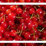 فواید شیرین یک میوه ترش برای قلب