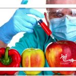 محصولات تراریخته زیر ذره‌بین سازمان غذا و دارو / ورود بدون کنترل غیرممکن است