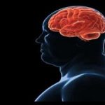 تاثیر چاقی بر عملکرد مغز
