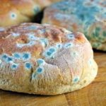 کپک خانگی را دست کم نگیرید باعث این بیماری نادر در ریه شما می شود