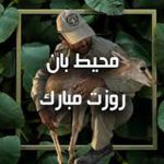 متن و پیام تبریک روز محیط بان ۱۴۰۴ +‎عکس نوشته و استوری