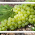 خواص انگور که از آن بی اطلاع هستید؟