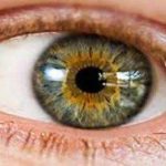 تغذیه مناسب برای تقویت بینایی از نگاه طب سنتی