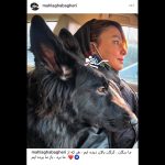 عکس عجیب مه‌لقا باقری با حیوان خانگیش در ماشین لاکچریش + عکس جدید