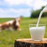 هر گروه سنی روزانه چه مقدار شیر مصرف کند؟