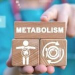 عوامل موثر بر سوخت‌وساز بدن؛ از استرس و خواب تا میکروبیوم روده