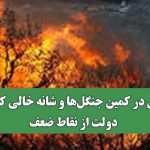 آتش در کمین جنگل‌ها و شانه خالی کردن دولت از نقاط ضعف