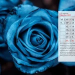 تقویم آذر 1404 + مناسبت ها و تعطیلات رسمی