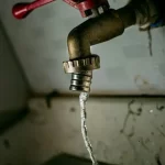 آیا فلوراید روی توان شناختی مغز اثر دارد؟ نتیجه پژوهش ۴۰ ساله آمریکا