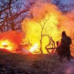 میزان خسارت آتش‌سوزی به جنگل‌های الیت مشخص شد