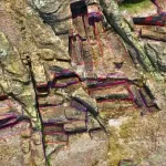 رازهای جزیره ایستر چگونه فاش شدند؟ پاسخ‌هایی تازه به معمای مجسمه‌های موآی و سقوط تمدن رپا نویی