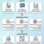 درمان واریکوسل (واریس بیضه) بدون جراحی: حقیقت علمی یا یک رؤیای دست‌نیافتنی؟