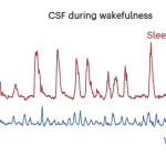 آیا «حواس‌پرتی» چرخه شست‌وشوی مغز است؟