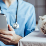 ویروس لوسمی گربه‌ها (FeLV – Feline Leukemia Virus)