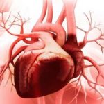 تاثیر محافظتی این کار ساده بر قلب زنان