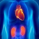 ۹۰٪ مردم این بیماری شایع قلبی-کلیوی را نمی‌شناسند