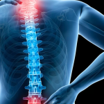 ارگونومی محیط کار و سلامت ستون فقرات