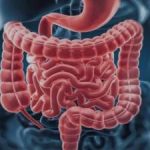 مشکلات گوارشی در این سن و سال در زنان افزایش می‌یابد